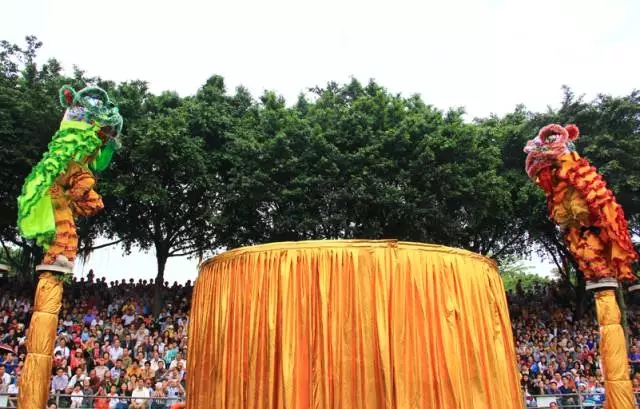 漆强化工资讯_狮王争霸