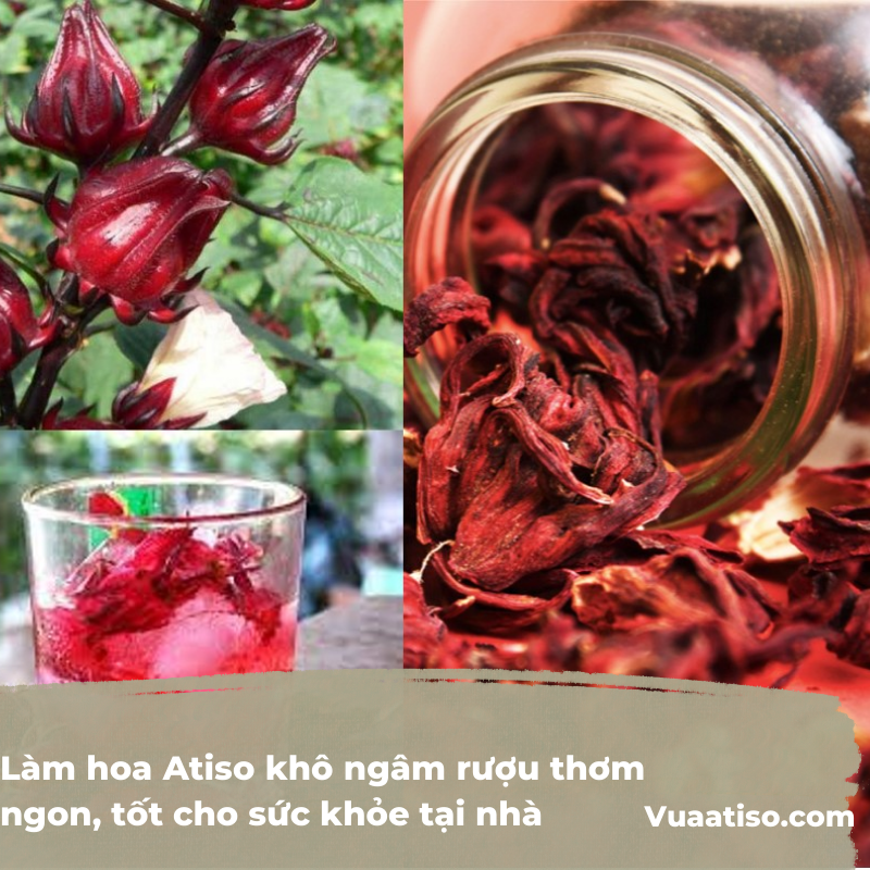 Làm hoa Atiso khô ngâm rượu thơm ngon, tốt cho sức khỏe tại nhà 2