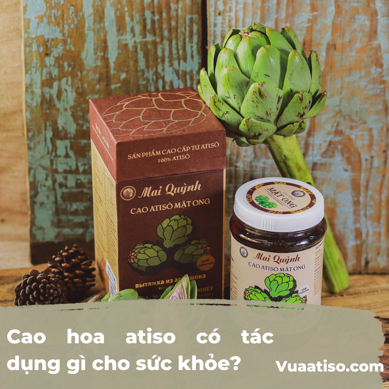 Cao hoa atiso có tác dụng gì cho sức khỏe4