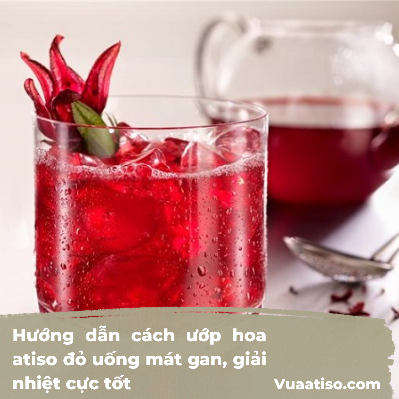 Hướng dẫn cách ướp hoa atiso đỏ uống mát gan, giải nhiệt cực tốt2