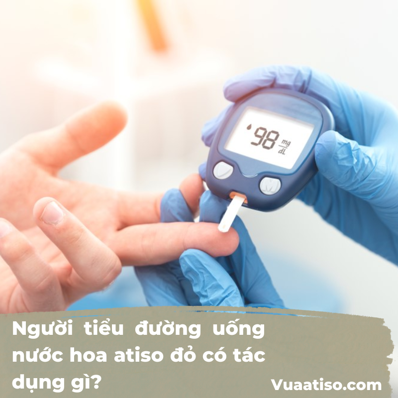 Người tiểu đường uống nước hoa atiso đỏ có tác dụng gì14