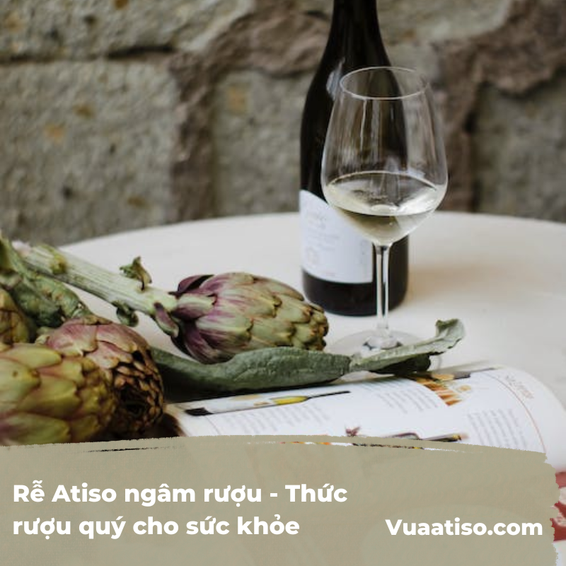 Rễ Atiso ngâm rượu - Thức rượu quý cho sức khỏe 2