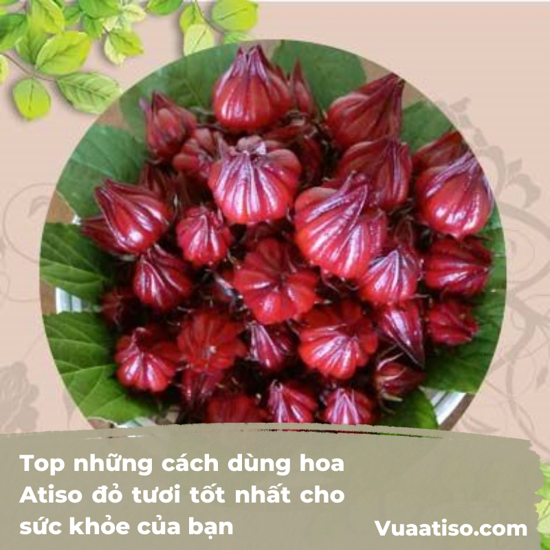Top những cách dùng hoa Atiso đỏ tươi tốt nhất cho sức khỏe của bạn2