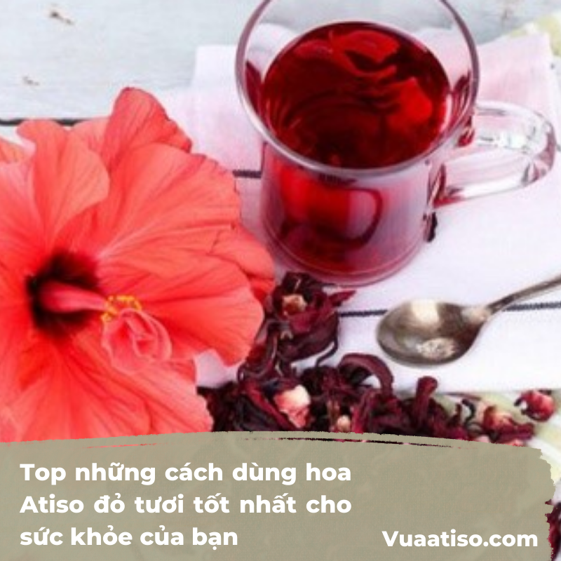 Top những cách dùng hoa Atiso đỏ tươi tốt nhất cho sức khỏe của bạn3